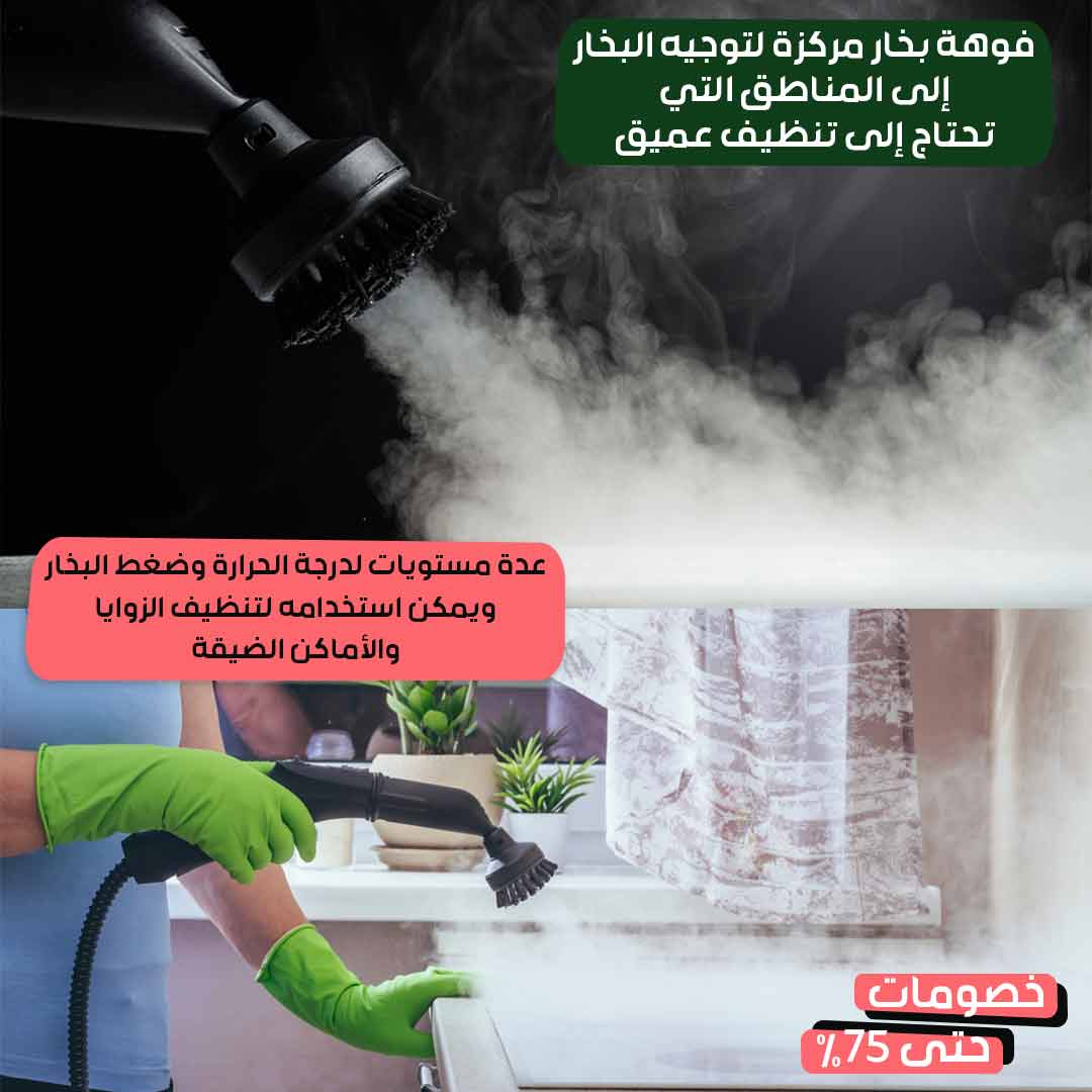 Comprehensive-Steam-Cleaning-Device-3