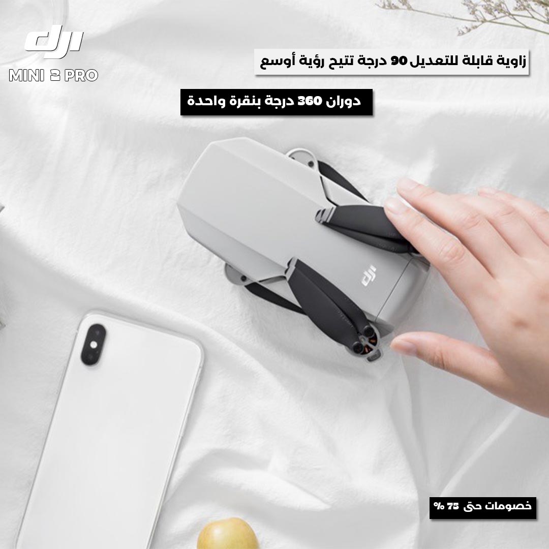 DJI mini 2 drone 3